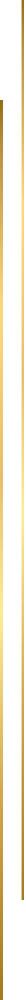 Striche gold 4